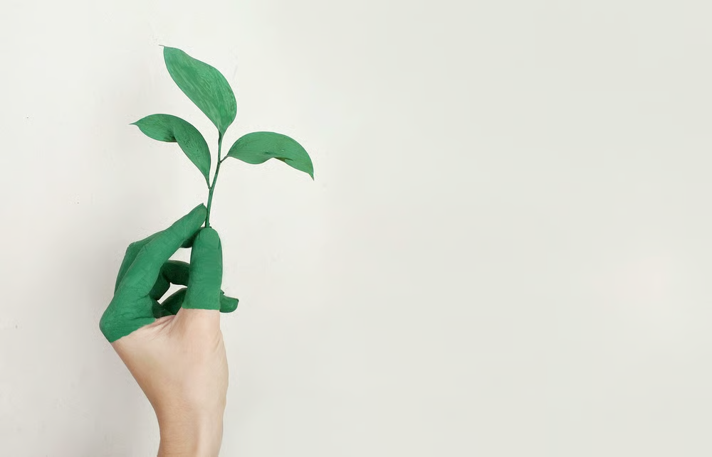 ApexBrasil vai levar 20 marcas brasileiras de moda sustentável para Semana da Moda de Milão de setembro